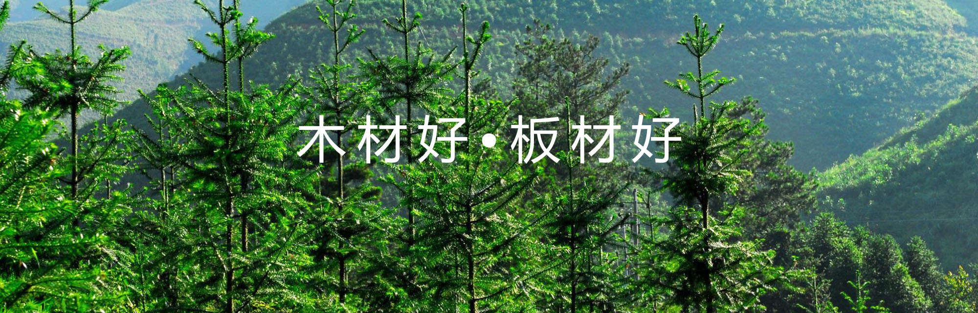 美高梅MGM